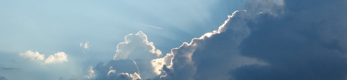 Blog von Nikolaus Krismer